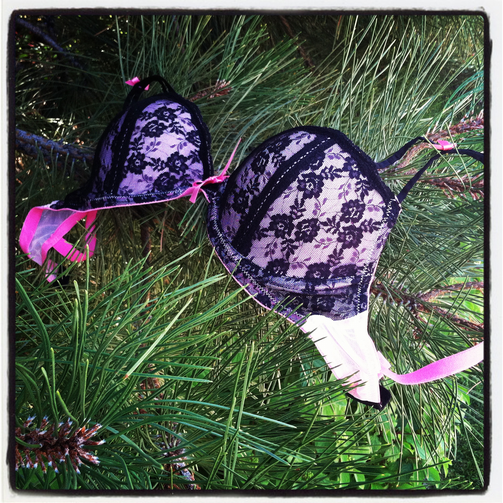 Is That Your Daughter's Bra Hanging From A Tree?